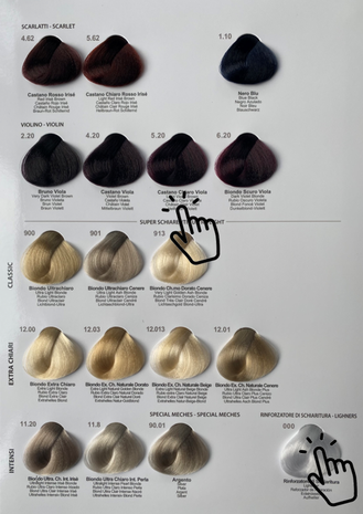 Toujours Trend Color Haarfärbemittel - 90 Farben - 100ml